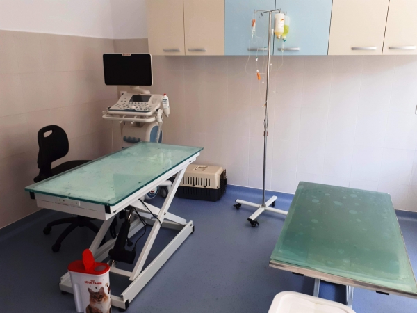 Cabinet veterinar Provet International